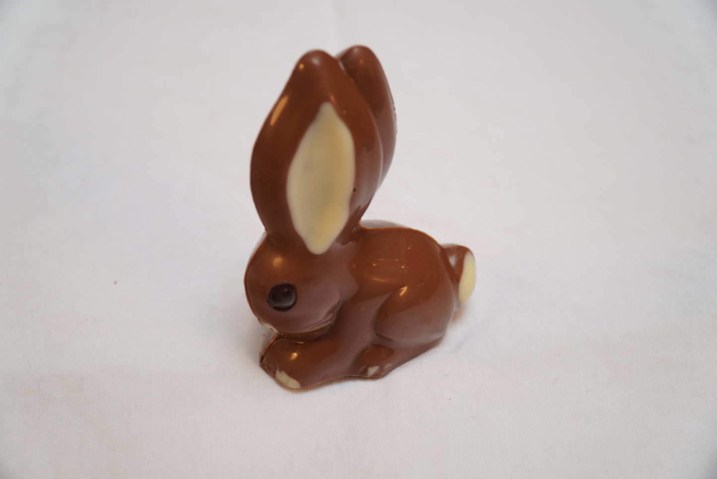 Langohr Hase